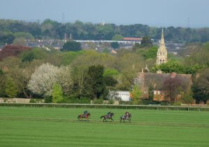 Newmarket Heath