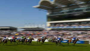 Rowley Mile blur