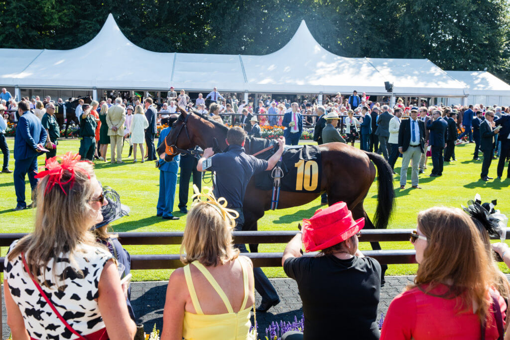 Parade Ring at Newmarket Racecourse