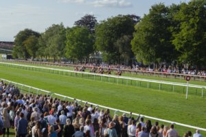 Pete Tong at Newmarket 2019 h min