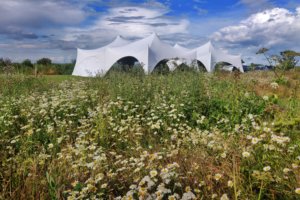 Wedding tent