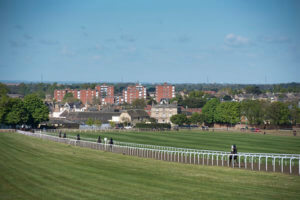 Discover Newmarket in 2022