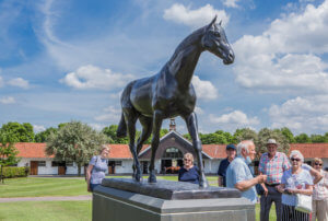 Tours at the National Stud