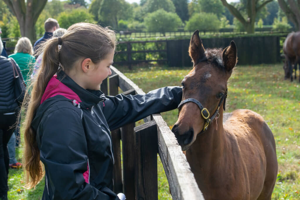 Family Tours of the National Stud
