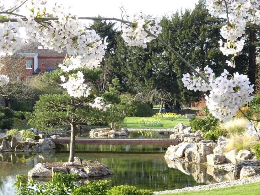 Japanese Gardens for Meditation