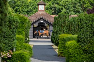 Dalham Stud