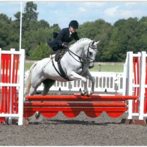 Claire Simper Side Saddle 7 approved for use