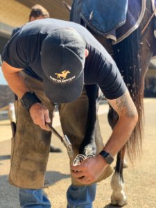 Farrier Competition