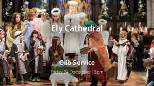 Crib Service