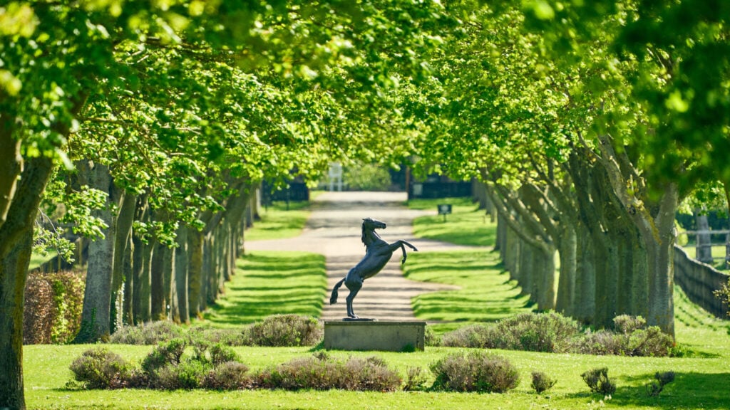 Long shot of the National Stud entrance in Newmarket