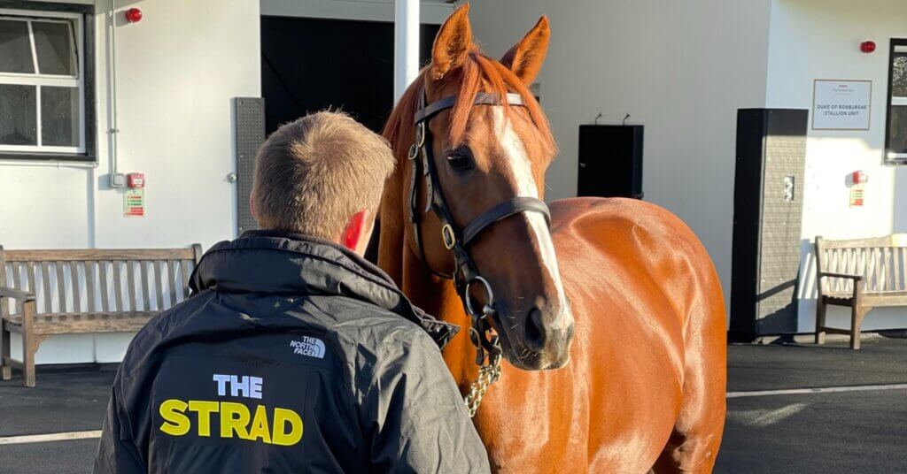 Guided Tours of the National Stud