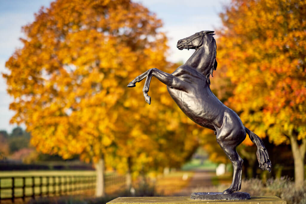 The National Stud