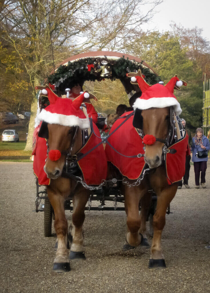 Christmas at the National Horseracing Museum.
