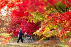 Accessibility