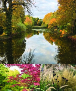 Autumn Colour Collage copy