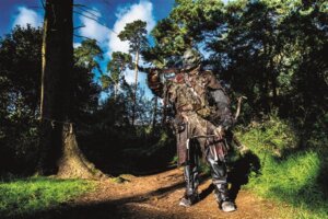 Ring Quest image from website