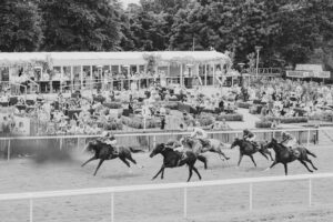 Champions Lawn race course view scaled Edited