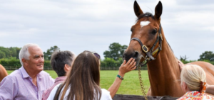 Private Tour Discover Newmarket