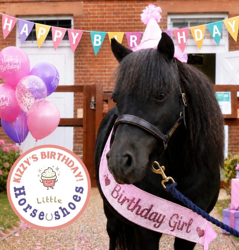 Kizzys Birthday revised with logo