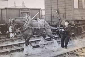 Railway Horse 2 640 x 427px